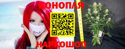 СК Гусь-Хрустальный