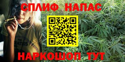 спайс Гусев