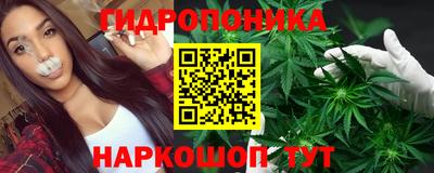 спайс Гусев