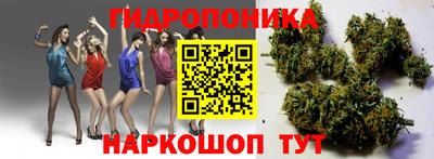 СК Гусь-Хрустальный