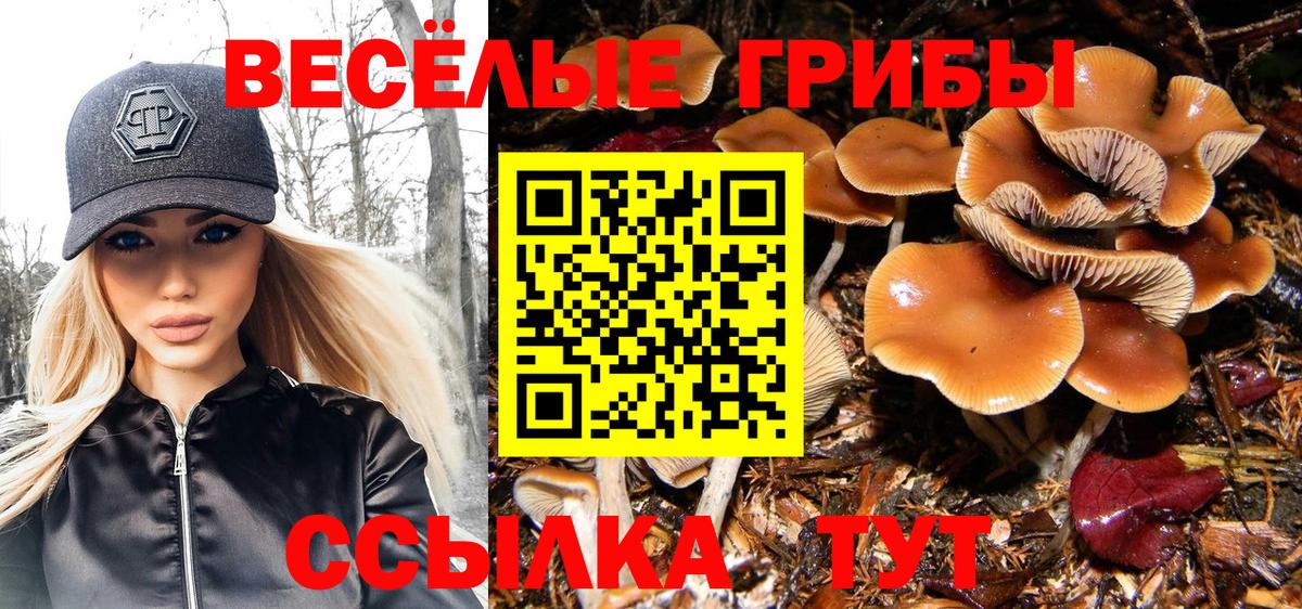 Галлюциногенные грибы мухоморы Лыткарино